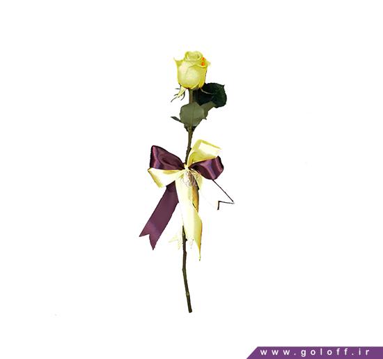 رز هلندی - گل سیسیل - Sicil | گل آف